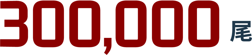安定の根拠1　300,000尾
